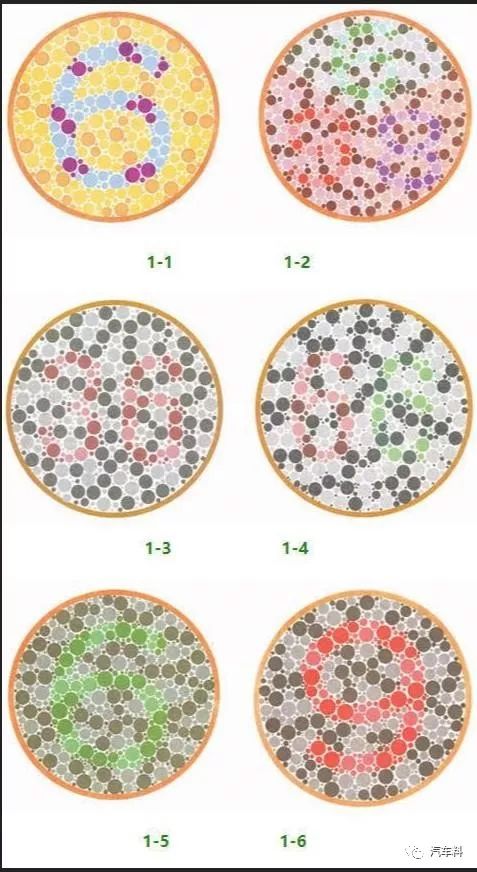 2019年驾考体检色盲检测增加难度 网友称:没看出来的回炉重造